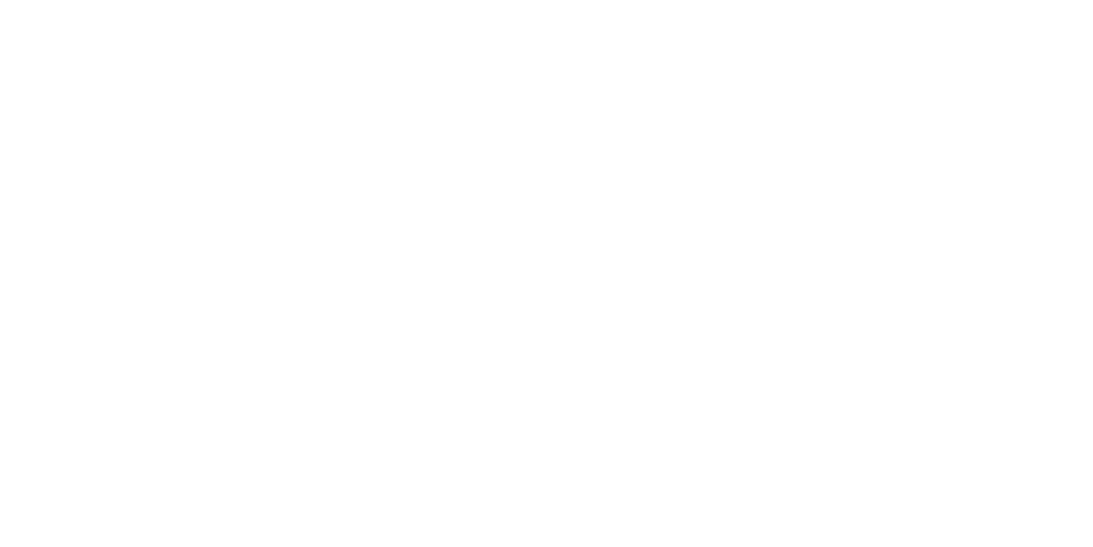 Rebook Schlittschuhe Logo