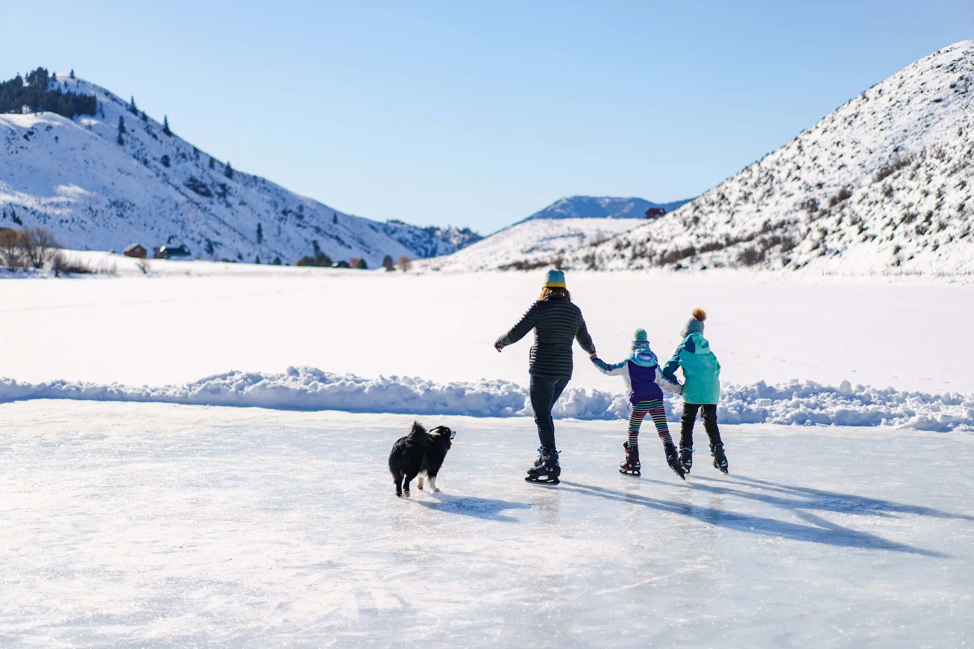 Familie mit Hund am Schlittschuhfahren auf zugefrorenem See